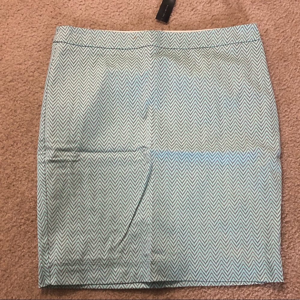 The Limited Skirt